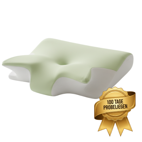 Welldream - Ergonomisches Nackenkissen